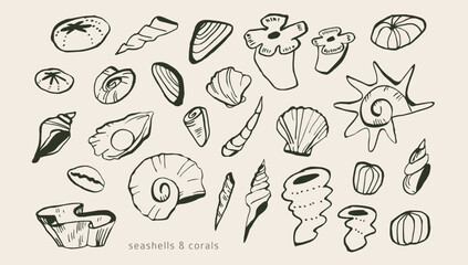 Underwater elements: seashells, mollusks. Modern organic wild life doodles. Simple outline ink sketches. Collection of hand drawn sea, ocean coral reef elements. Isolated vector. Naive childish style
