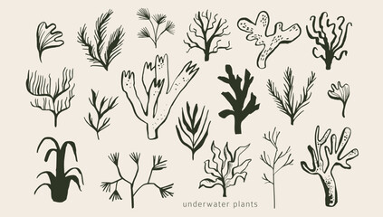 Underwater plants: seaweed, algae, corals. Modern organic wild life doodles. Simple outline ink sketches. Collection of hand drawn sea, ocean creatures. Isolated vector elements. Naive childish style