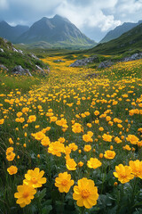 Vibrant Meadow of Golden Flowers Under Majestic Mountain Range View