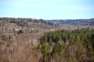 
A vast landscape with forests containing a variety of trees and clear skies.