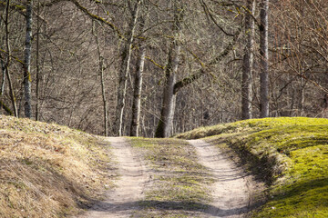 
A path leading through a forest, with leafless trees in the background and green grass on both sides of the path.