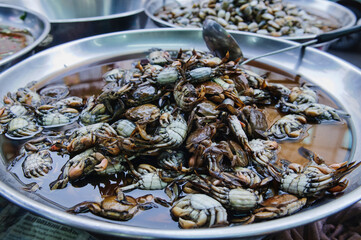 Crab in a fresh market in Bangkok, Thailand