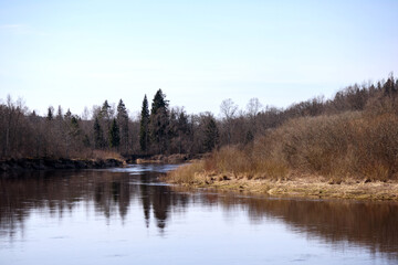 
A river flowing through a forested landscape with leafless trees, against a clear sky.
