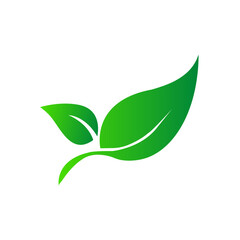 green leaf icon minimalist design, eco-friendly symbol, organic logo, nature-inspired graphic, simple vector illustration