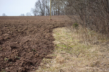 
A field that is partly cultivated, with dark, loose soil, but partly uncultivated, with dry grass, and trees in the background.