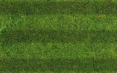 Green grass texture for sport background. Grass texture. 3d rendering illustration.