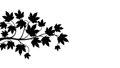 Naklejka premium Silhouette of leaves against a white background