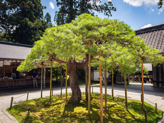 Chuson-ji temple in Hiraizumi, Nishiiwai District, Iwate, Japan