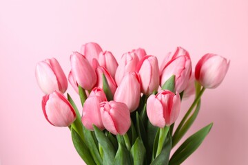 Beautiful fresh tulips on color background