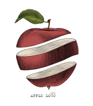 Apple logo hand draw vintage engraving style clip art