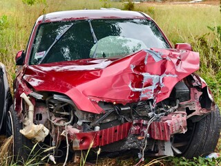 Abandoned cars after accidents in a dense overgrown setting