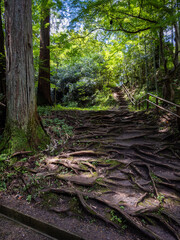 Chuson-ji temple in Hiraizumi, Nishiiwai District, Iwate, Japan