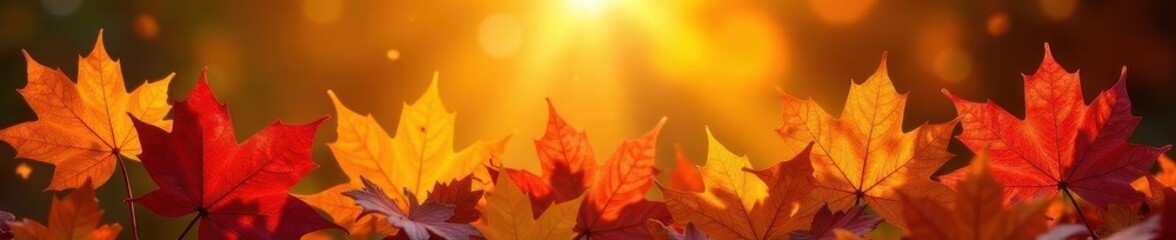 Sun-drenched autumn bouquet; vibrant oranges, reds, and yellows , nature, poppy