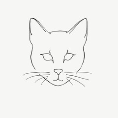 Obraz premium Minimalistic cat illustration, calm, black outline on white background, copy space