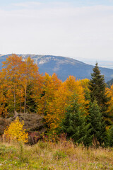Fototapeta premium the plateau road in autumn