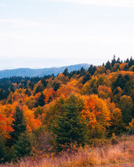 Naklejka premium the view of the plateau in autumn