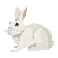 PNG white rabbit illustration sticker, transparent background