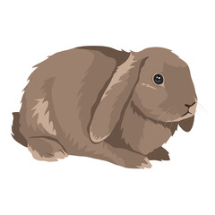PNG pet bunny sticker, brown animal, transparent background