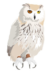 PNG owl illustration sticker cut out, transparent background
