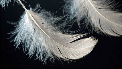 Obraz premium Calming Rhythms mental. Calming abstract image depicting soft feathers in a tranquil void, emphasizing light and soothing rhythms. Abstract calming visual.