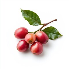 Fresh coffee fruit isolated on a white background.