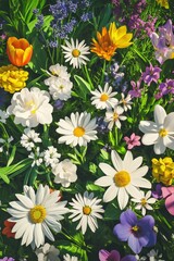 Fototapeta premium Colorful flower garden blooming in bright sunlight