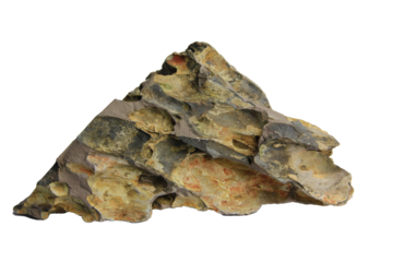 Triangular dragon stone with deeply carved textures and natural earthy tones isolated on transparent background. PNG transparency