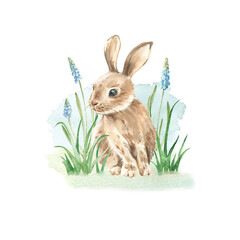 Rabbit on a meadow with muscari flowers and grass. Watercolor spring illustration hand drawn and isolated on white background. Template for Easter decor and cards