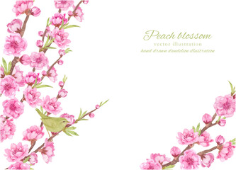 水彩で描いた桃の花の枝とうぐいすのベクターフレーム