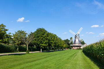 Obraz premium Historic windmill at Grefenmoor near Stade, Lower Saxony