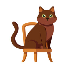 A male cat sit on a chair isolated on transparent background
