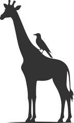 Giraffe standing still with bird perched on its back vector silhouette
