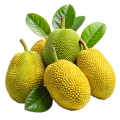 Jackfruit fruit isolated on transparent background 