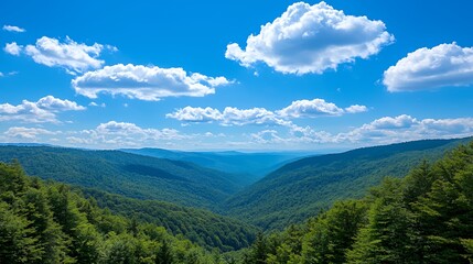 Obraz premium Vast Green Mountain Valley Under a Blue Sky with Puffy Clouds