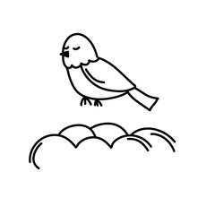 Bird collection
