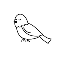 Bird collection
