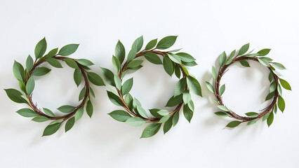 white background beautiful handmade wreaths highly sought special occasions everyday