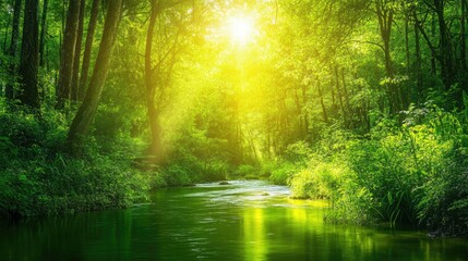 Sunlit forest landscape with a gentle river flowing peacefully