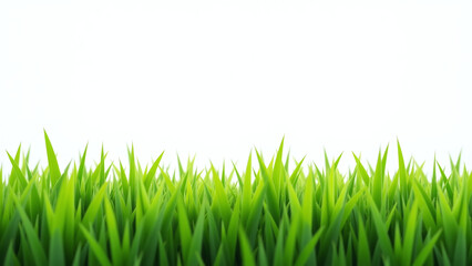 Fototapeta premium white backgroundting green grass common task many people yards every day year outside winter season