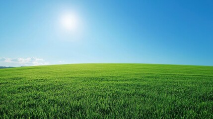 Fototapeta premium an empty open field with a clear blue sky