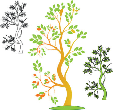 a nice tree with tree green leaf