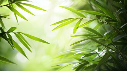 Obraz premium Vibrant Green Bamboo Leaves in Sunlight