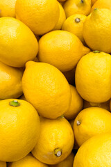 A close-up of juicy bright yellow lemons lying tightly next to each other.