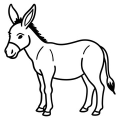 donkey isolated on white background