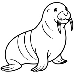 Fototapeta premium polar bear seal