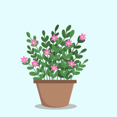 illustration of a potted Taiwan plant with lush green leaves and delicate pink flowers, set against a light blue background. The simple and clean design gives it a fresh and minimalistic aesthetic 