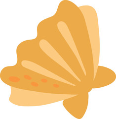 seashell illustration