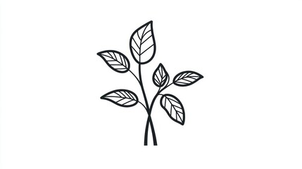 Fresh Basil Sprig Illustration, White Background, Cooking