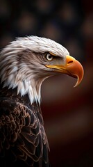 Obraz premium Bald Eagle Portrait With Blurred American Flag Background Patriotic Symbolism Wildlife Art Nature