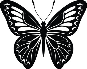 butterfly vector illustration